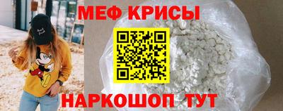 стафф Кингисепп