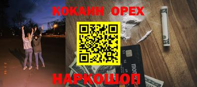 стафф Кингисепп