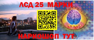 стафф Кингисепп