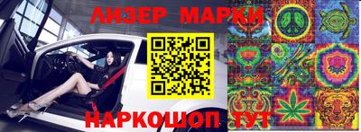 стафф Кингисепп
