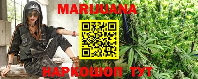 стафф Кингисепп