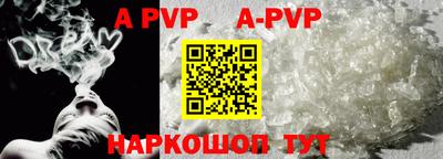 стафф Кингисепп