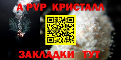 стафф Кингисепп