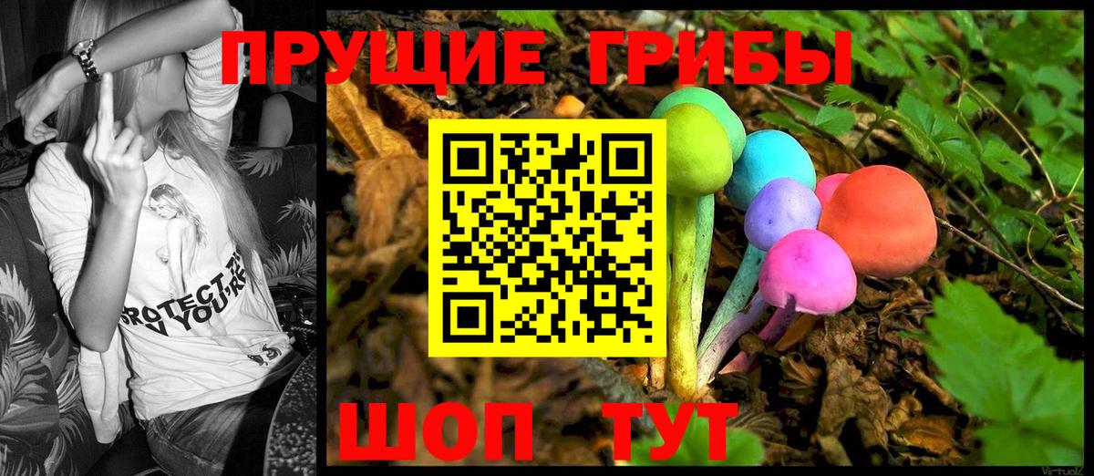 Кемерово  Галлюциногенные грибы Cubensis  Вход с VPN  Псилоцибиновые грибы Psilocybine cubensis 