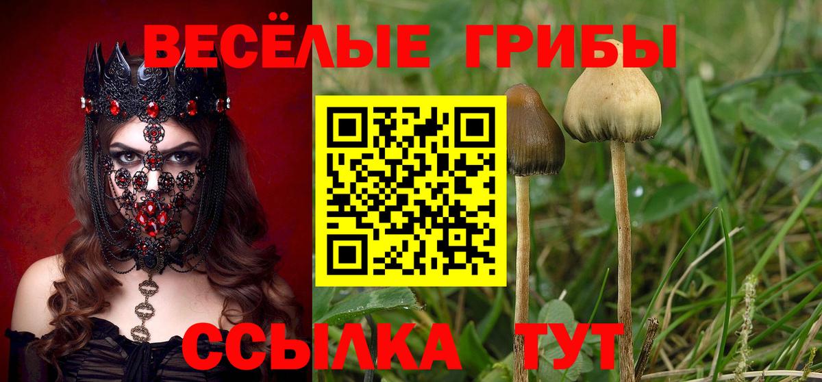Псилоцибиновые грибы MAGIC MUSHROOMS Кемерово